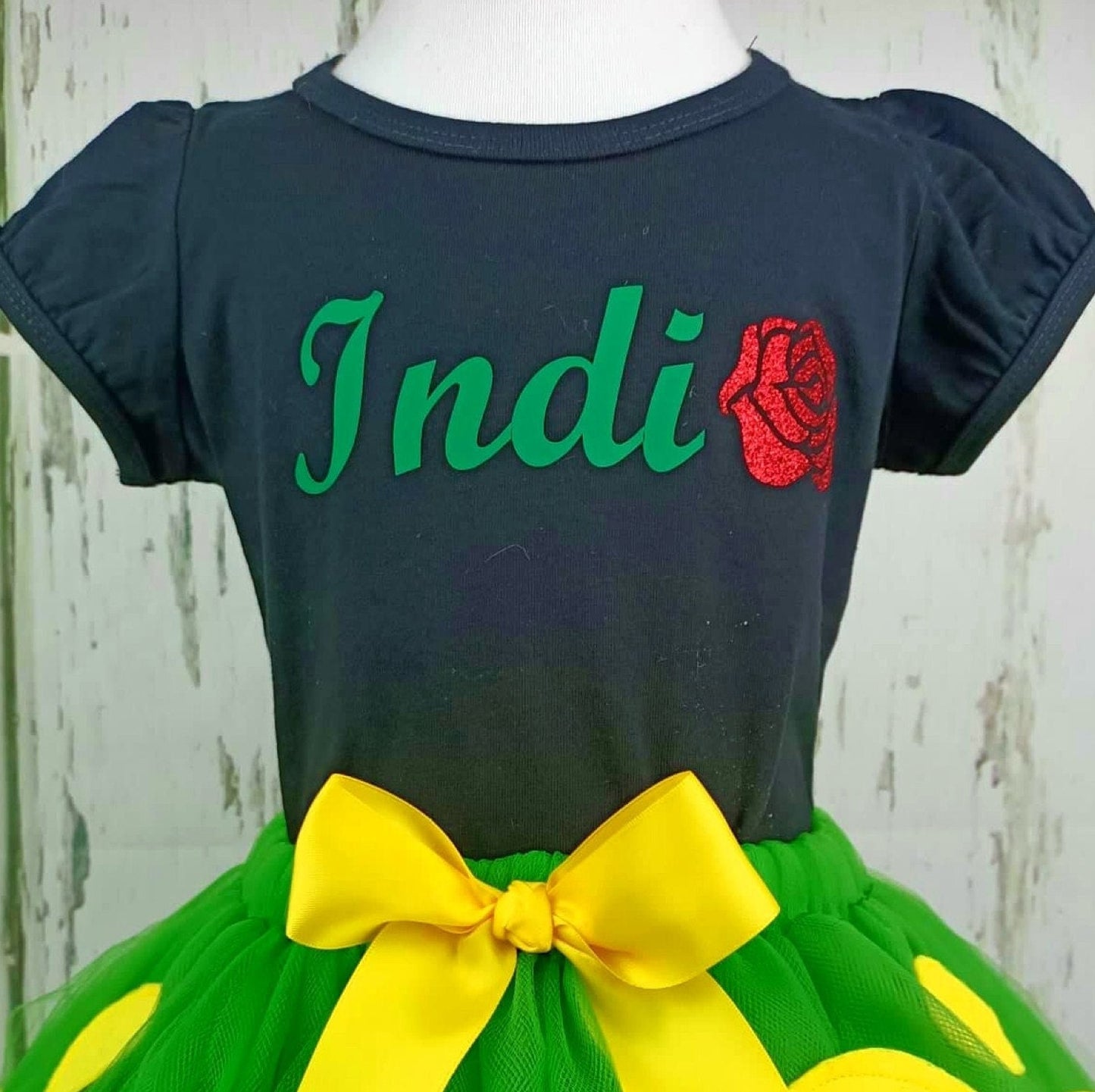 ADULT SIZE TSHIRT only! Dinosaur Custom Personalised